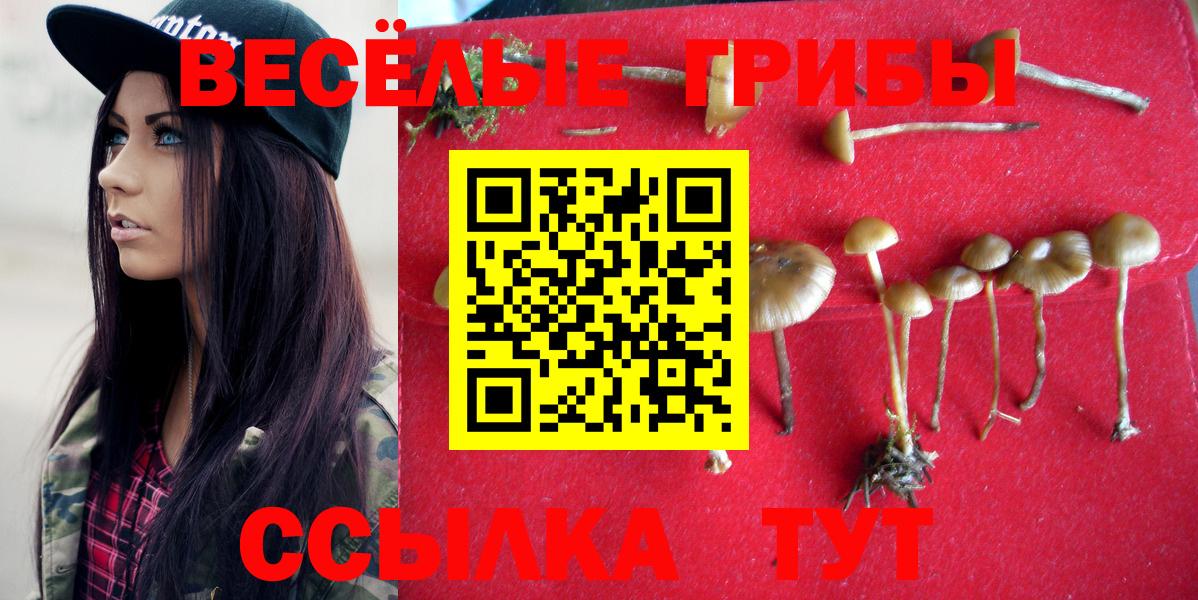 Псилоцибиновые грибы Cubensis Тюмень